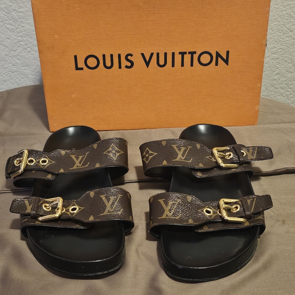 Louis Vuitton Women's Brown Mules
